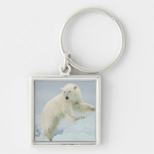 Polar bear in summer key ring