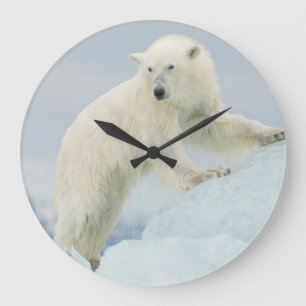 Polar bear in summer large clock
