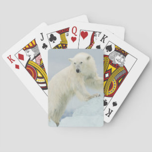 Polar bear in summer playing cards