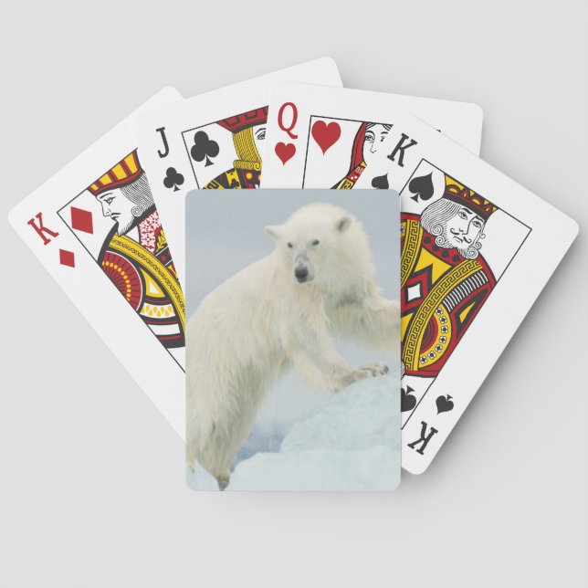 Polar bear in summer playing cards (Back)