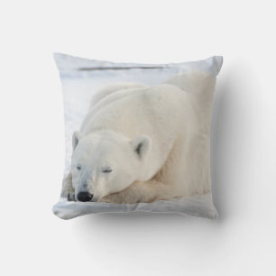 Polar Bear in winter Cushion