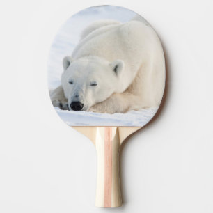 Polar Bear in winter Ping Pong Paddle