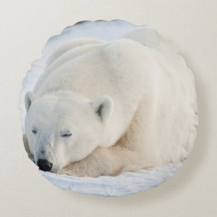 Polar Bear in winter Round Cushion