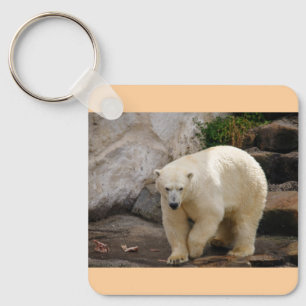 polar bear key ring