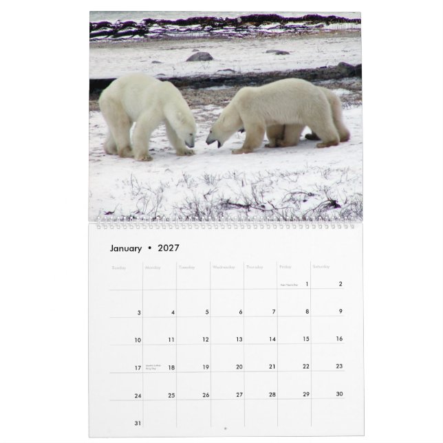 POLAR BEAR King of the Arctic Calendar 2014 2-Pg. (Jan 2027)