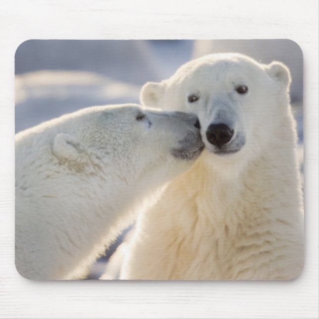 Polar Bear Kiss Mouse Mat (Front)