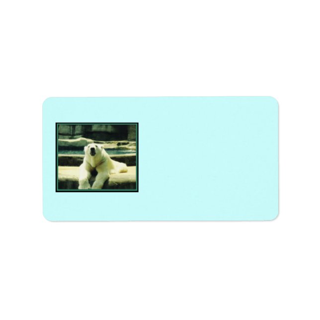 Polar Bear Labels (Front)