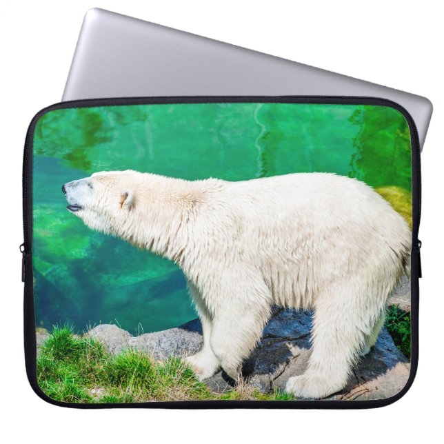 Polar bear laptop sleeve (Front)