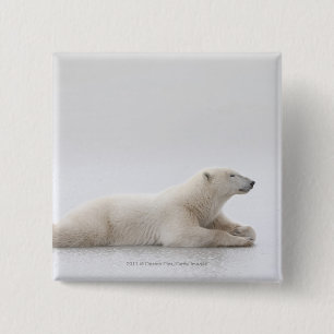 Polar Bear Laying On A Lake Of Ice 15 Cm Square Badge