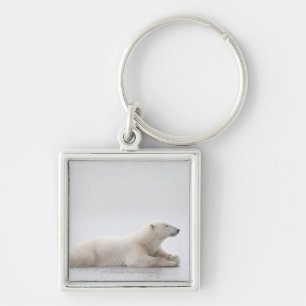 Polar Bear Laying On A Lake Of Ice Key Ring