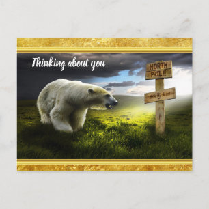 Polar bear looking at the north pole wooden sign postcard