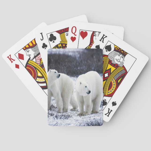 Polar Bear Love Playing Cards (Back)