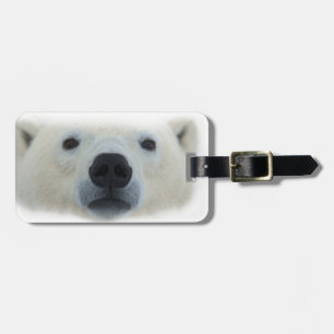 Polar Bear Luggage Tag