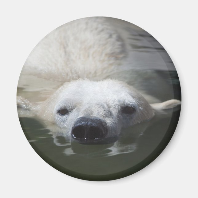 Polar Bear Magnet (Front)