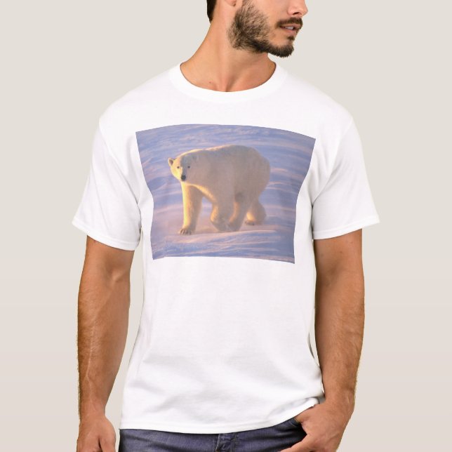 Polar Bear Morn 2 T-Shirt (Front)