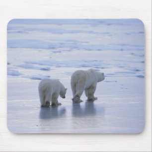 Polar Bear Mother and Cub Mouse Mat