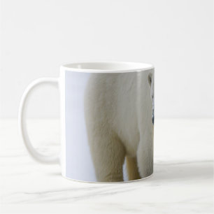 POLAR BEAR MOTHER AND CUB NORTHERN ALASKA COFFEE MUG