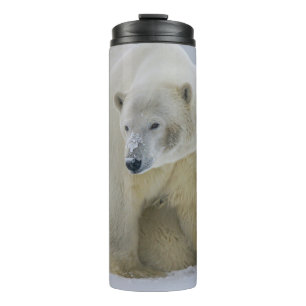 POLAR BEAR MOTHER AND CUB NORTHERN ALASKA THERMAL TUMBLER