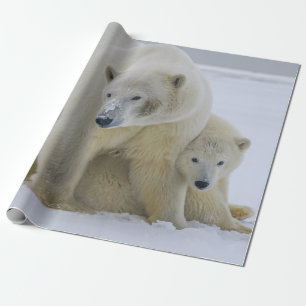 POLAR BEAR MOTHER AND CUB NORTHERN ALASKA WRAPPING PAPER