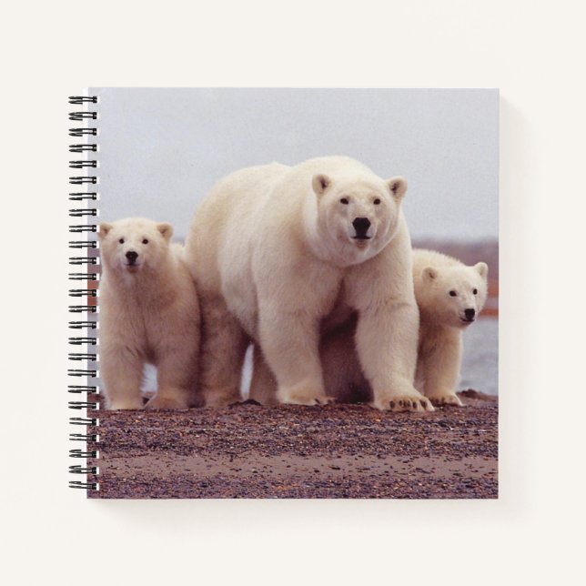 Polar Bear Mother and Cubs Photo Notebook (Front)