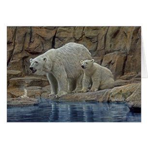 Polar Bear Mother & Cub