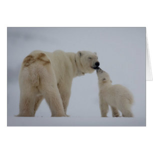 Polar Bear Mother with Cub