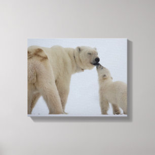Polar Bear Mother with Cub Canvas Print