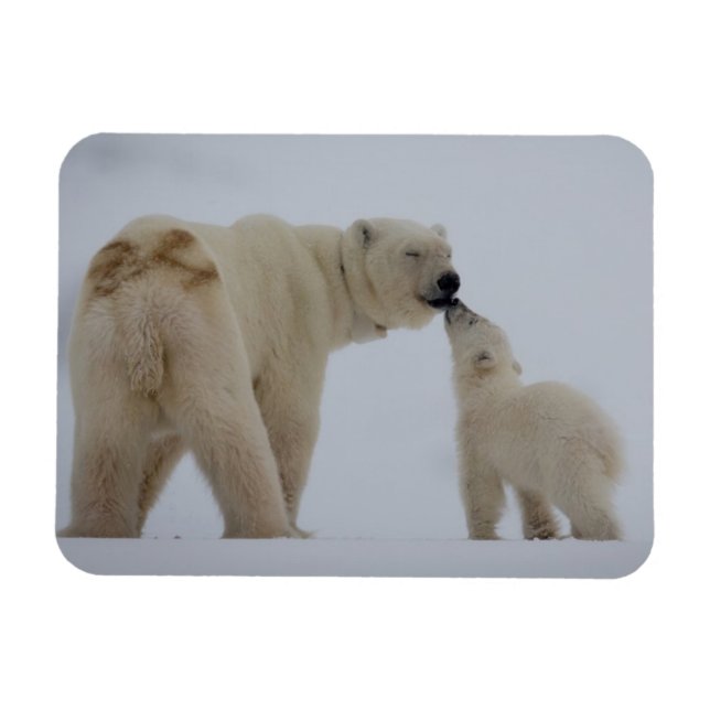 Polar Bear Mother with Cub Magnet (Horizontal)