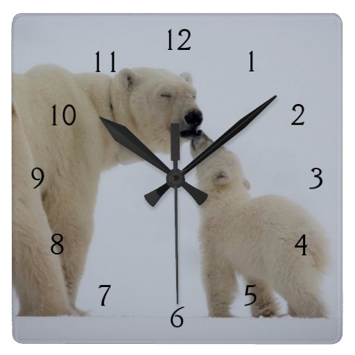 Image of Polar Bear Mother with Cub Square Wall Clock