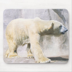 polar bear mouse mat