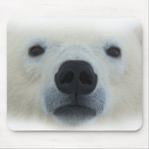 Polar Bear Mouse Mat