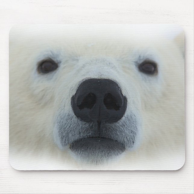 Polar Bear Mouse Mat (Front)