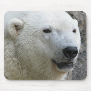 Polar Bear Mouse Mat
