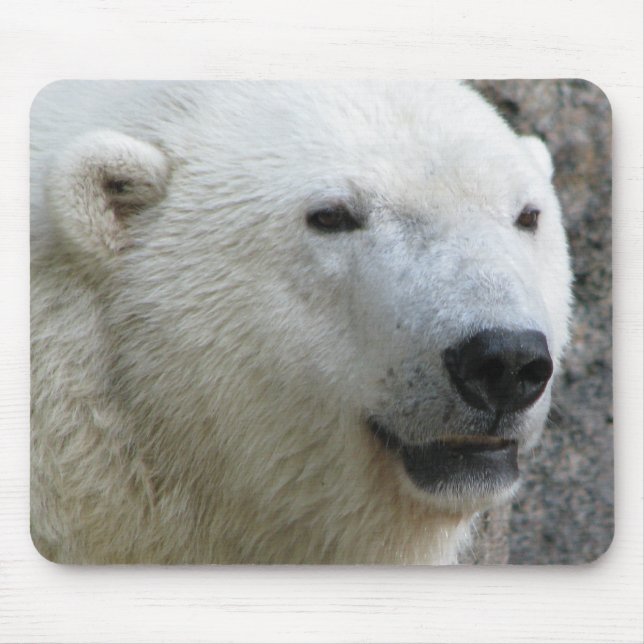 Polar Bear Mouse Mat (Front)