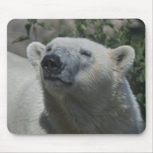Polar Bear Mouse Mat