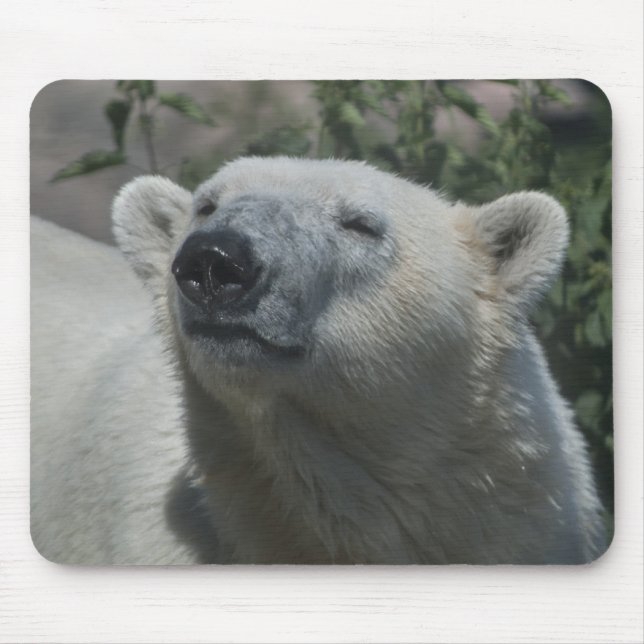 Polar Bear Mouse Mat (Front)