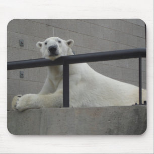 Polar Bear Mouse Mat