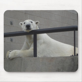 Polar Bear Mouse Mat