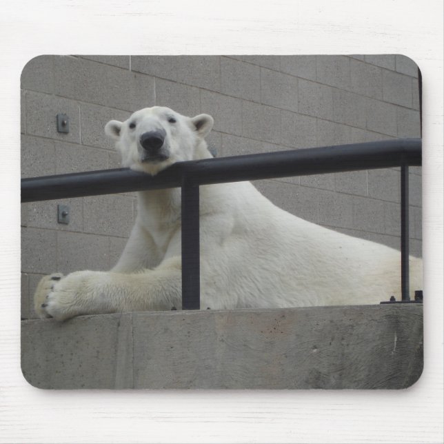 Polar Bear Mouse Mat (Front)