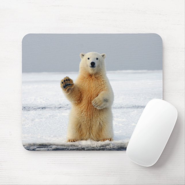 Polar Bear Mouse Mat (With Mouse)