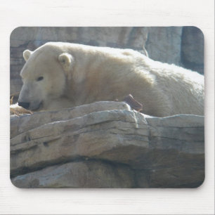 Polar Bear Mouse Mat