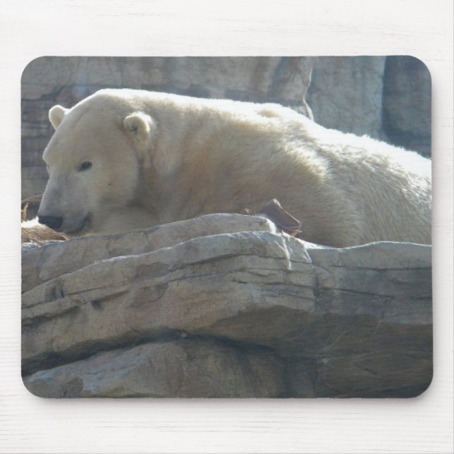 Polar Bear Mouse Mat (Front)