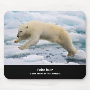 polar bear mouse mat