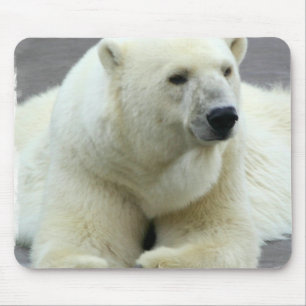 Polar Bear Mouse Pad