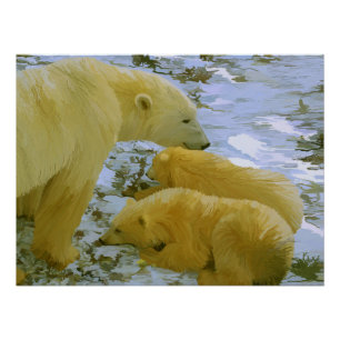Polar Bear mum and her cubs paper print