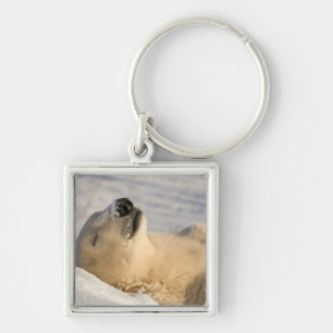 Polar Bear Nap Key Ring