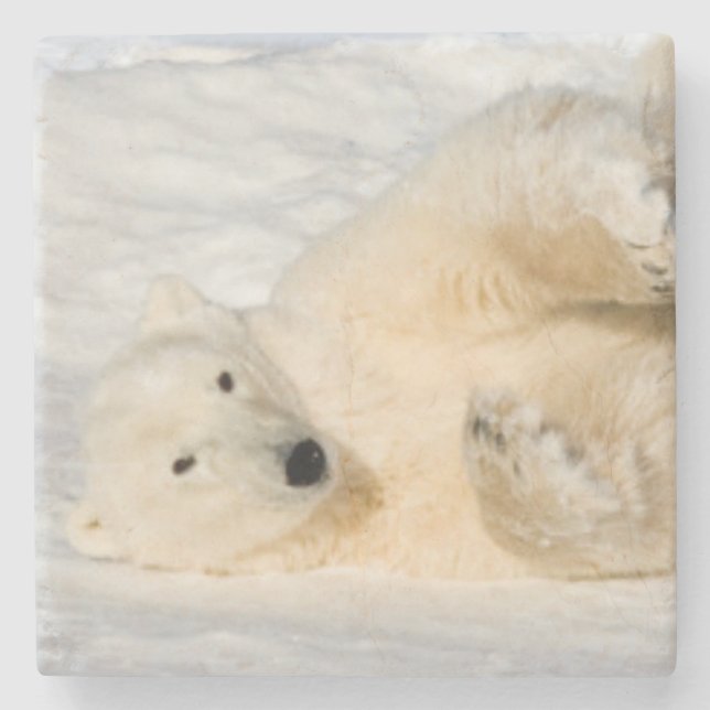Polar Bear near Hudson Bay Stone Coaster (Front)
