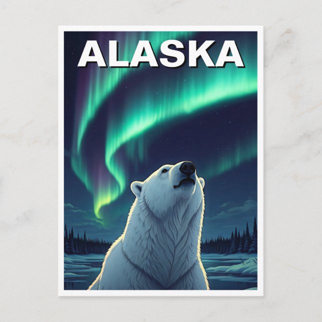 Polar Bear northern lights Alaska Postcard (Front)
