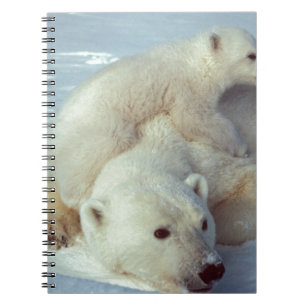 Polar Bear Notebook