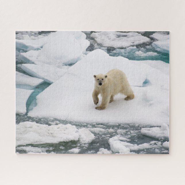 Polar Bear on Arctic Sea Ice in Svalbard Jigsaw Puzzle (Horizontal)
